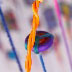 Wendy Hill's String Things at the Multi-Plex Detail 2